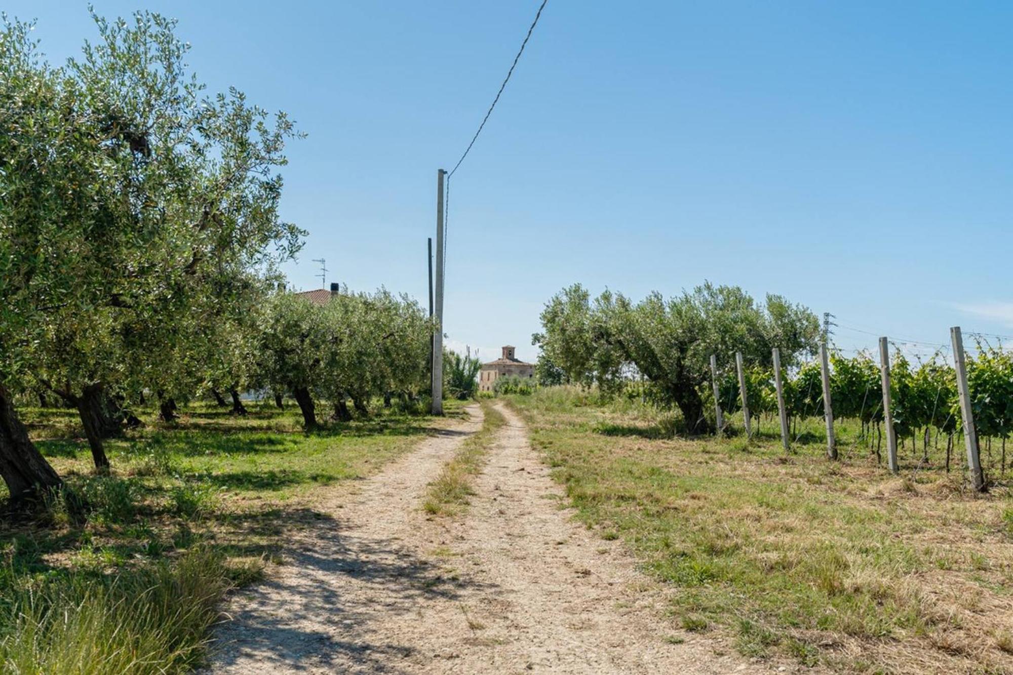 Villa Turin - Yourplace Abruzzo Torino di Sangro Zewnętrze zdjęcie